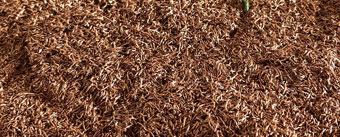 skup granulatu miedzianego